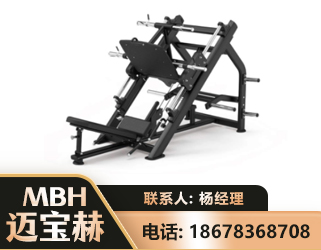 鄂州45°倒蹬训练器